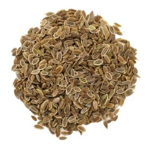 Dill Seeds  <br>蒔蘿子 100 gm